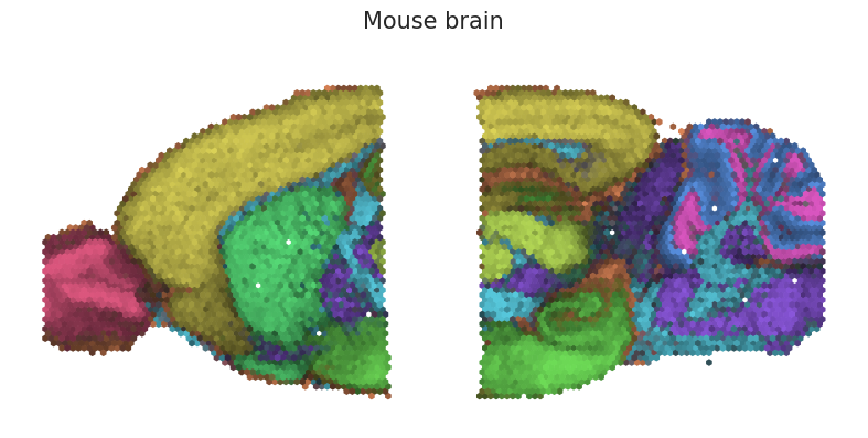 ../_images/tutorials_mouse_brain_integration_tutorial_16_0.png