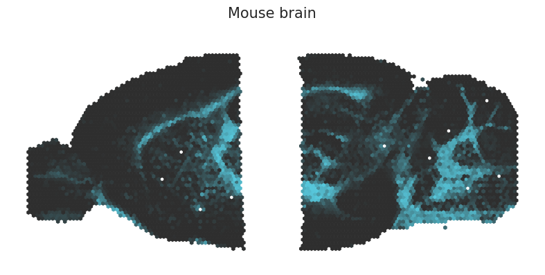 ../_images/tutorials_mouse_brain_integration_tutorial_18_0.png