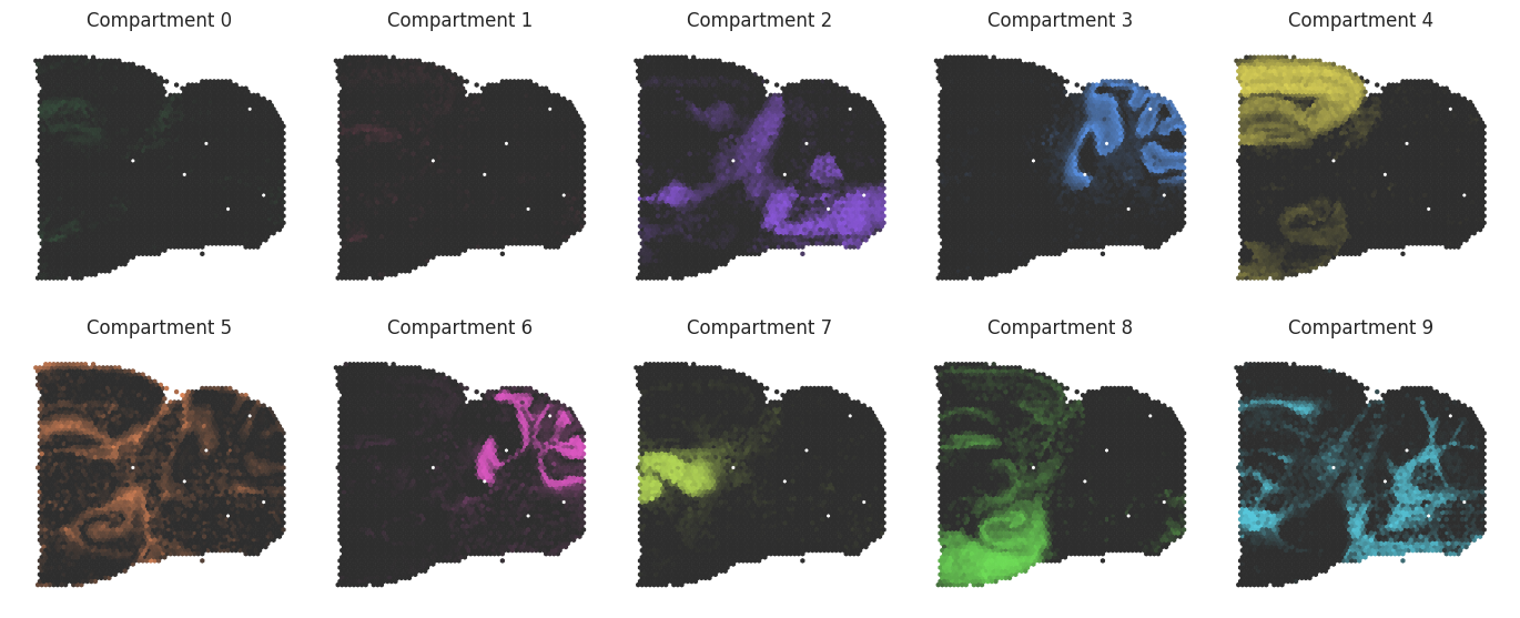 ../_images/tutorials_mouse_brain_integration_tutorial_20_1.png